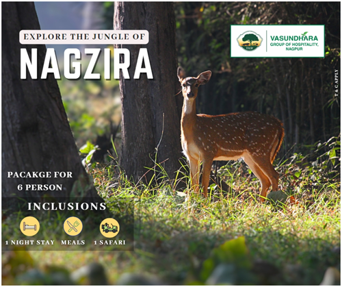 Nagzira Tour Package