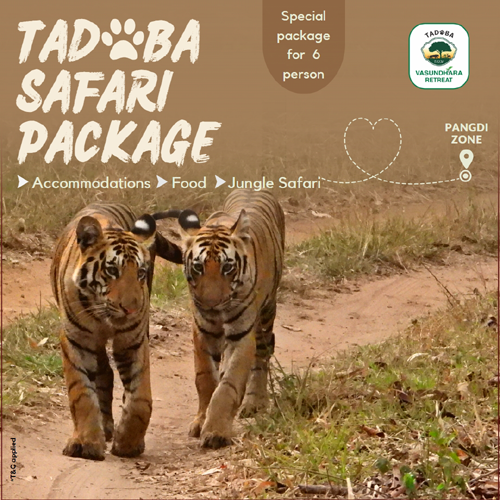 Pangdi Tour Package